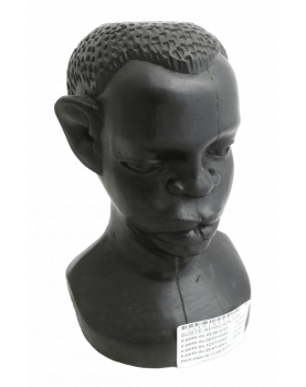 African Ebony bust